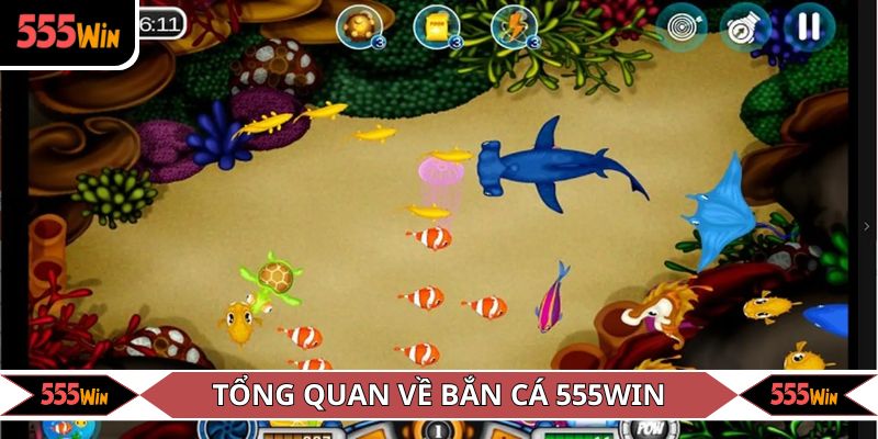 Tổng quan về bắn cá 555win