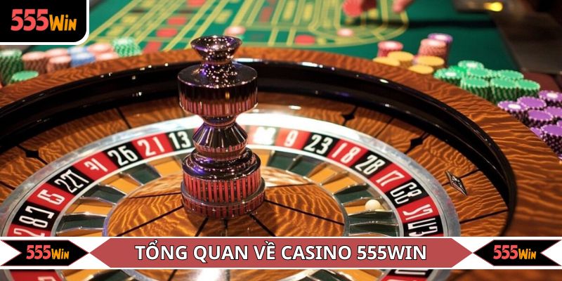 Tổng quan về casino 555win