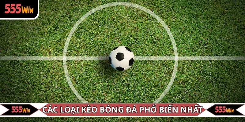 Các hình thức cược bóng đá được nhiều người ưa chuộng