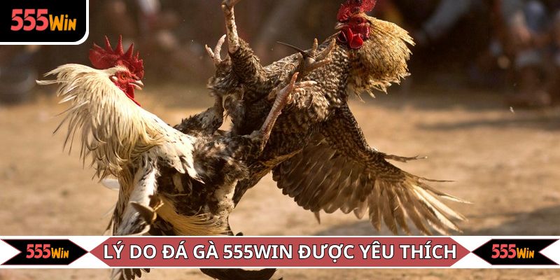 Các yếu tố nổi trội giúp sảnh cược chiếm ưu thế