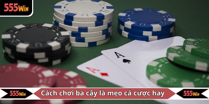 Cách chơi ba cây là tổng hợp những mẹo cá cược hay & hữu ích