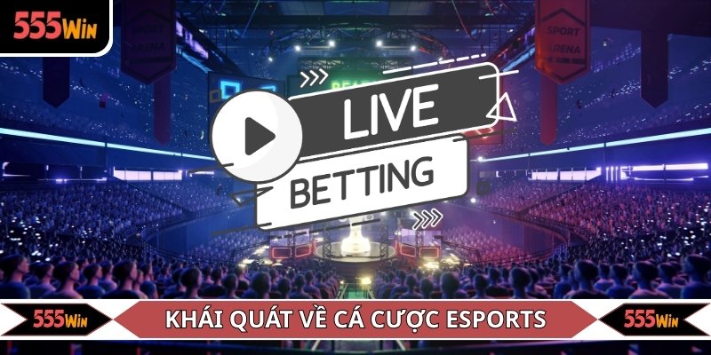 Giới thiệu thông tin về cá cược Esport
