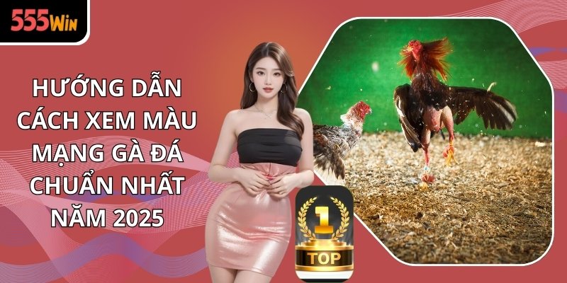 Hướng Dẫn Cách Xem Màu Mạng Gà Đá Chuẩn Nhất Năm 2025