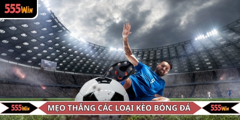 Kinh nghiệm đặt kèo thắng đậm từ chuyên gia