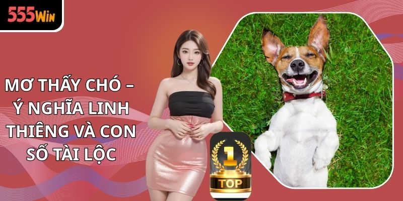 Mơ Thấy Chó – Ý Nghĩa Linh Thiêng Và Con Số Tài Lộc