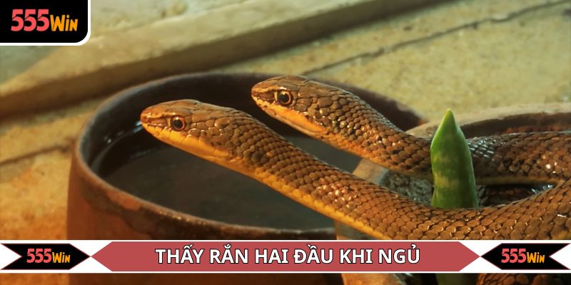 Chiêm bao thấy rắn hai đầu khi ngủ