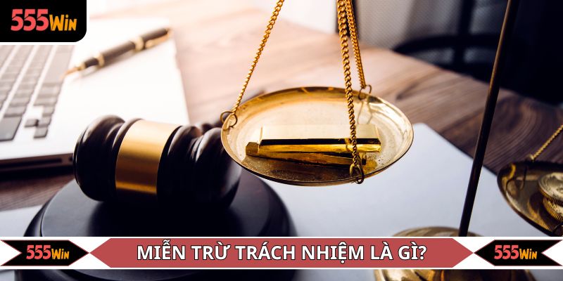 Tìm hiểu quy định miễn trừ trách nhiệm