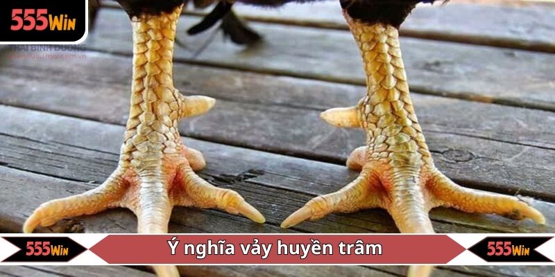 Ý nghĩa vảy huyền trâm mà người chơi nên biết