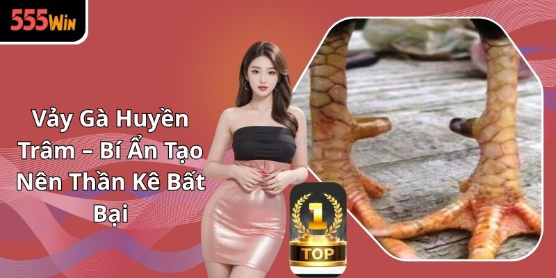 Vảy Gà Huyền Trâm – Bí Ẩn Tạo Nên Thần Kê Bất Bại