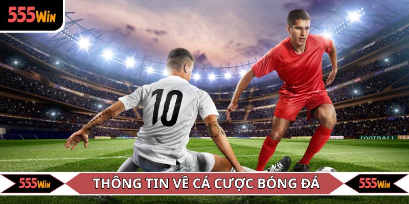 Sơ lược nhanh thông tin về cá cược bóng đá