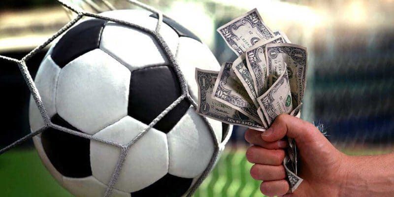 Nghiên cứu, phân tích kỹ lưỡng khi cá cược